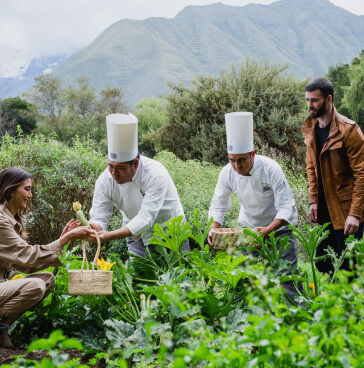 Destinos que se renuevan