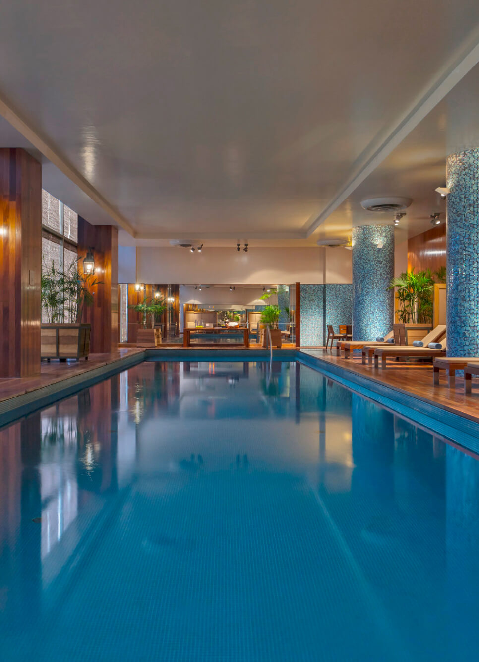 A wellness oasis in the city