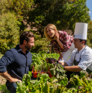 Compromiso con la sostenibilidad